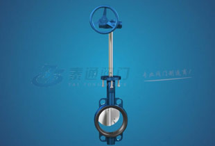 軟密封蝶閥視頻介紹